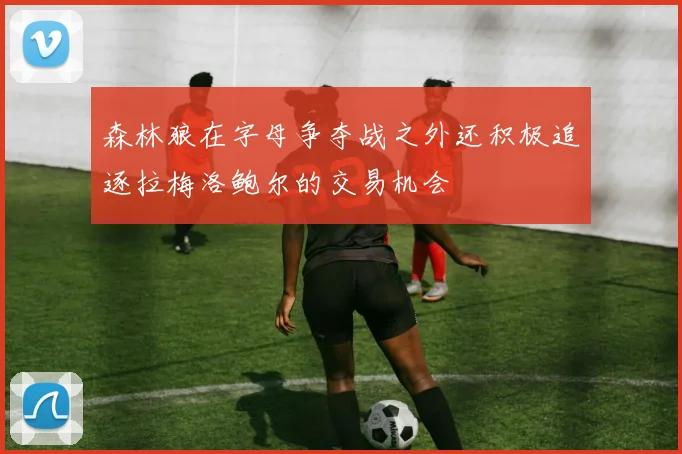 森林狼在字母争夺战之外还积极追逐拉梅洛鲍尔的交易机会